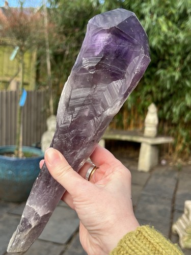 Amethyst purple wand root - purple,