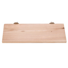 Chinchilla Platform Hamster