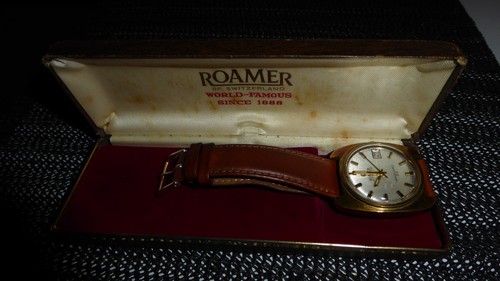 1970s roamer vanguard 316 - 1970s,