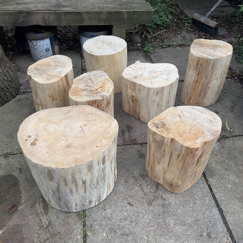 Tree stumps rustic - stumps, stools