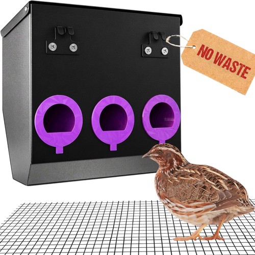 Quail feeder port no - 3,
