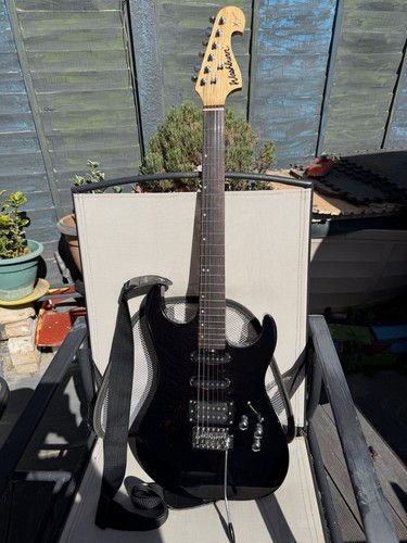 Washburn series electric - washburn,