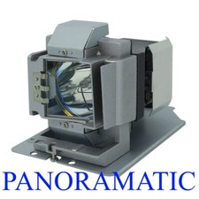 OEM Projector Lamp for