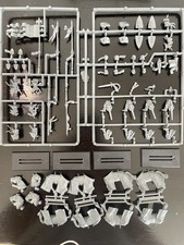 Bretonnian knights of the