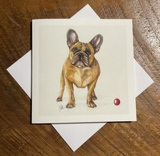 French Bulldog Dog Breed Fine