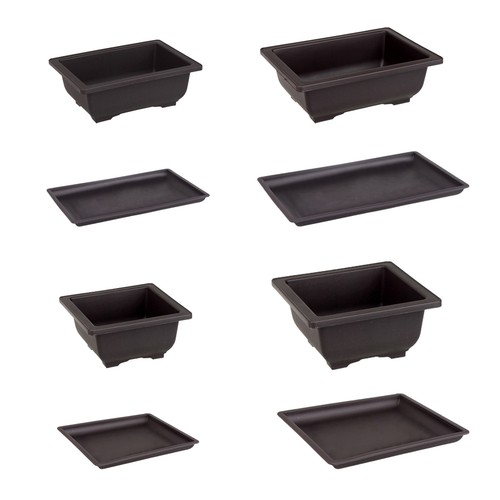 Rectangular plastic bonsai pot - bonsai,