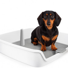 Dog Potty Tray with Removable