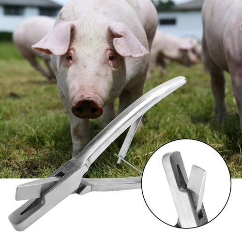 New stainless steel ear - ear, plier