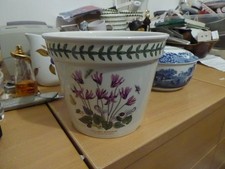 Portmeirion Botanic Garden