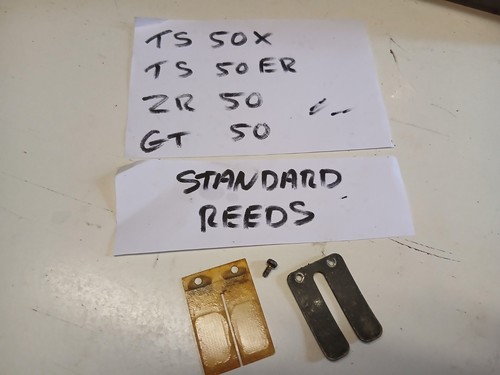 Suzuki ts50x standard - standard, reeds