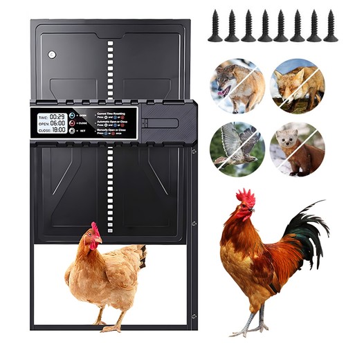 Waterproof automatic chicken - waterproof,