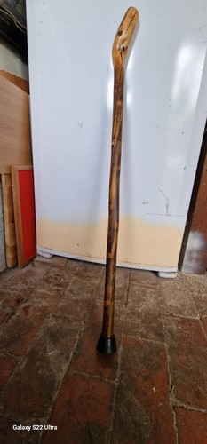 Blackthorn walking stick - walking,