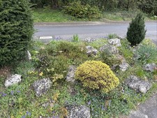 Rockery Rocks - Free Stones