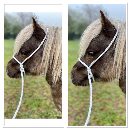 Mini shetland rope - mini-shetland/shetland,