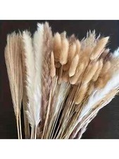 110 PCS Dried Pampas Grass