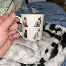 The Leonardo Collection Fine