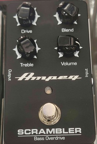 Ampeg scrambler bass - ampeg,