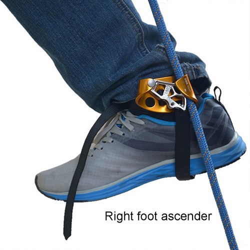Professional climbing for - professional,