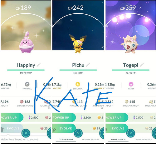 Shiny pichu togepi - pichu,,