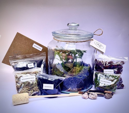 Diy terrarium full - terrarium,