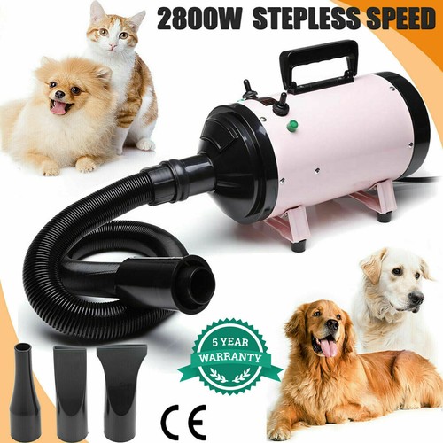 2800w dog pet - pet, dryer