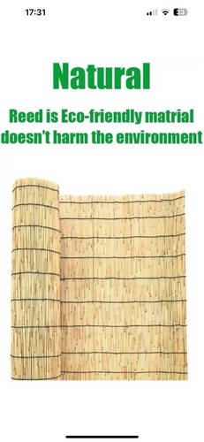 Reed screening natural - reed,
