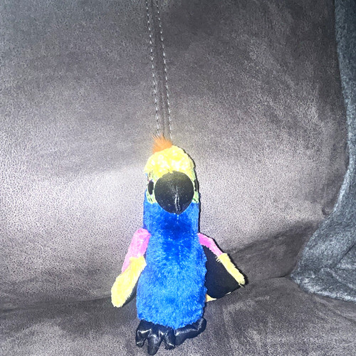 Beanies wynnie the - the, macaw