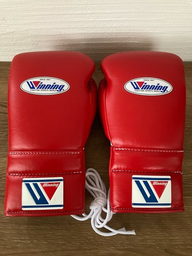 Winning boxing gloves - winning,