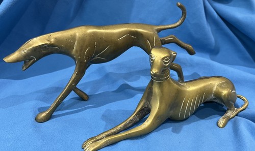 Greyhound whippet dog - /,