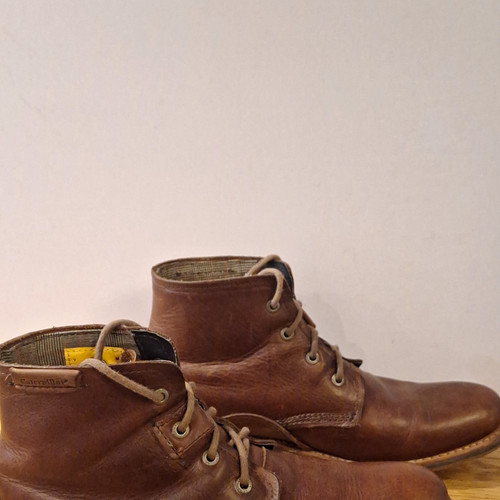 Cat men brown warren - cat,