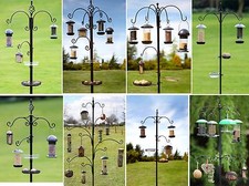 Tom Chambers Wild Bird Feeding