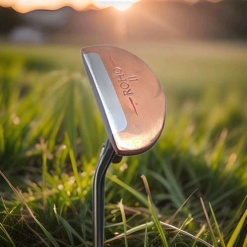 Taylormade roho putter - taylormade, ii