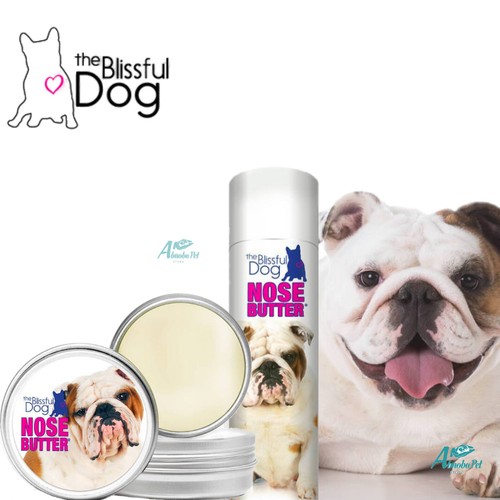 British bulldog blissful - bulldog, dog