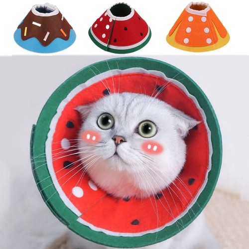 Soft dog cone cat - cat,