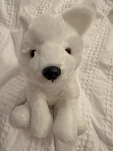 Cute white husky soft toy - husky,