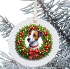 Jack Russell Dog Hanging