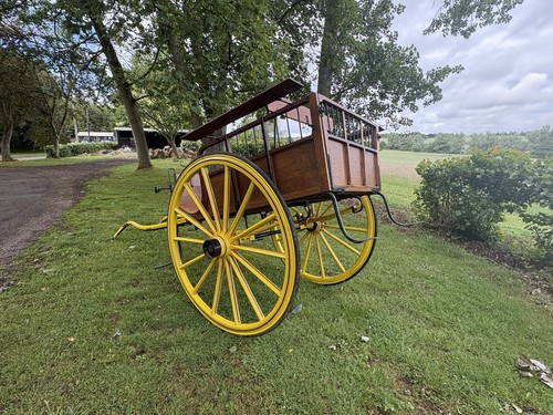 Horse cart wagon - cart,