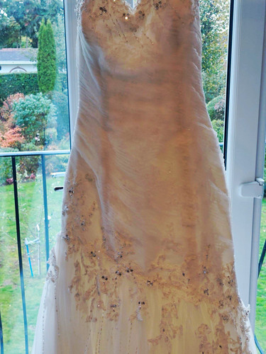Sophia tolli sweetheart - sophia,