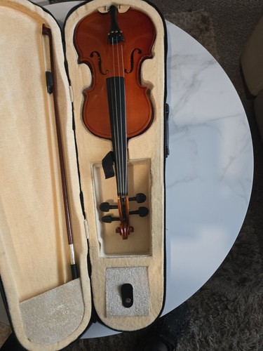 Violin