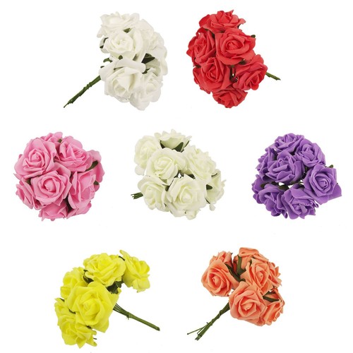Colourfast roses variety - colourfast,