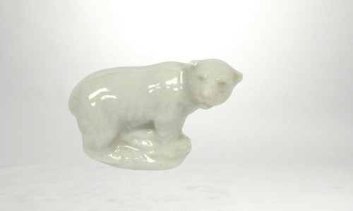 Polar bear wade - polar,