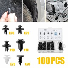 100X Car Clips for Hole