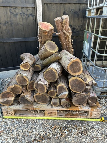 Yew logs wood turning - yew,