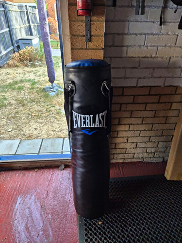 Everlast hanging punch bag - hanging,
