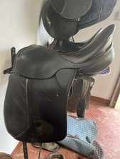 Kieffer Wien DL Dressage