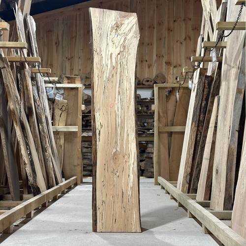 Spalted beech plank board - spalted,
