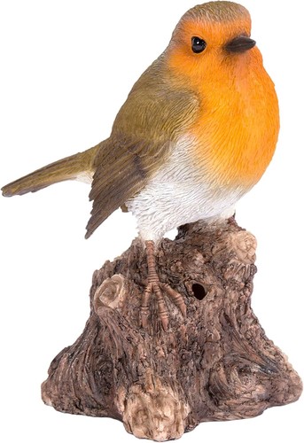 Singing robin stump with - singing,