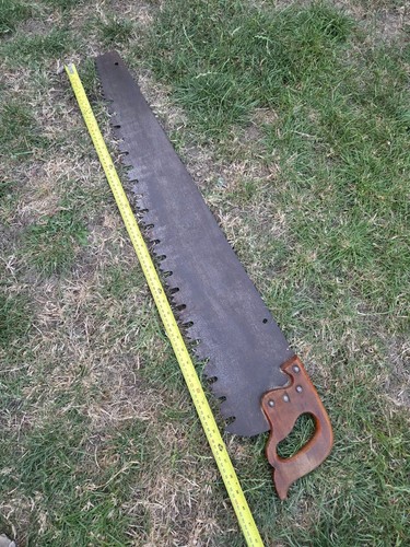 Vintage logging saw forrestry - vintage,