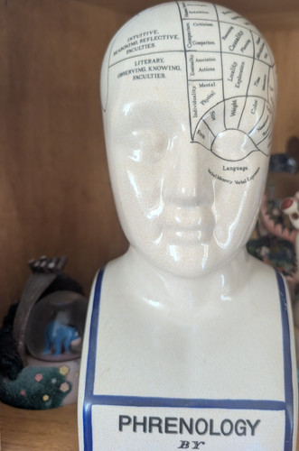 Ceramic glazed phrenology - phrenology, head