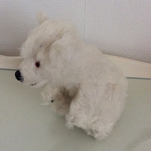 Vintage pedigree polar bear - vintage,